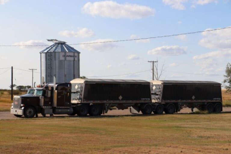 Support needed to ease financial strain in trucking industry