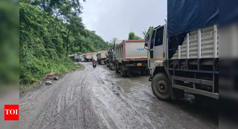 Mizoram assam highway blockade: truckers take action on road repairs