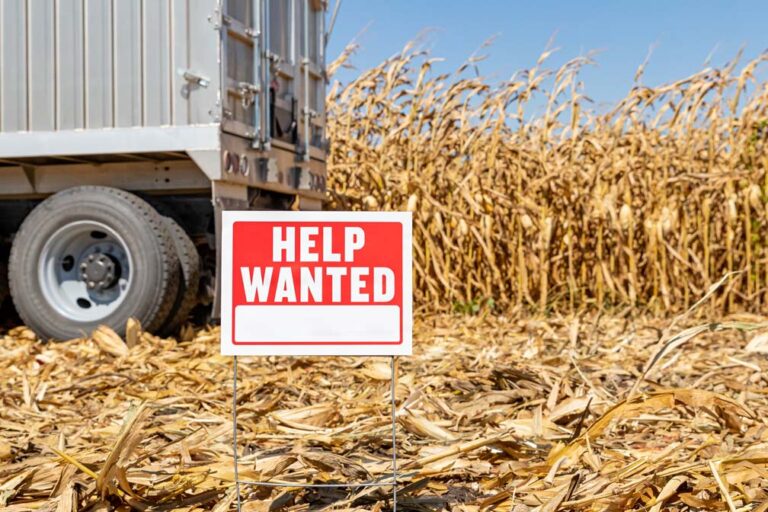 Modest Gains in Truck Transportation Jobs for