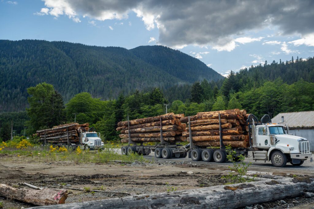 Exploring Job Satisfaction in the Logging Industry